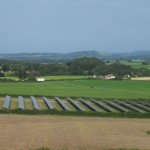 Field PV Array in South Somerset